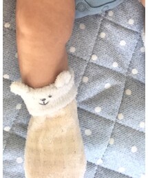 gelato pique Baby＆Kids | ソックス/靴下