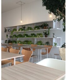 タリーズの店内 | その他