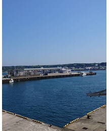 三崎港 | その他