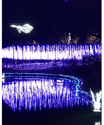 足利フラワーパーク | その他