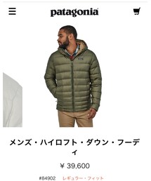 patagonia | ダウンジャケット/コート