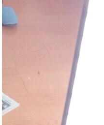 AFRICA TARO | サンダル