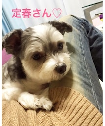 ひょっこり写り込む定春さん♡ | その他