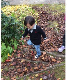 POLO | カーディガン/ボレロ