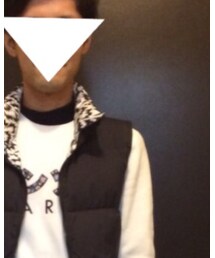 TATRAS | ダウンベスト