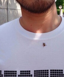 虫くん(その他)