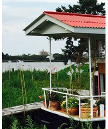 鳥屋野潟 | その他