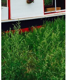 土と水の芸術祭 | その他