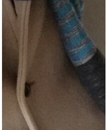 EDIFICE | その他アウター