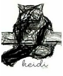 no brand | ソックス/靴下