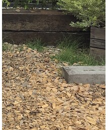 A.P.C. | バレエシューズ