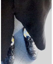 poem by rabbit | ソックス/靴下