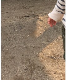 abcd | その他パンツ