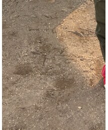 MIKI HOUSE | スニーカー