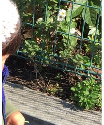 UNIQLO | トップス