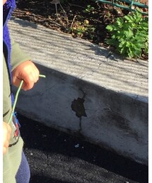 しまむら | シューズ