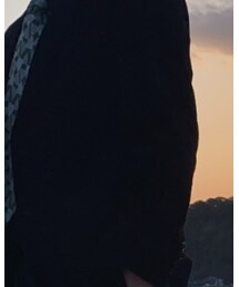 UNIQLO | ジャケット/アウター