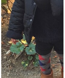 UNIQLO | レギンス/スパッツ