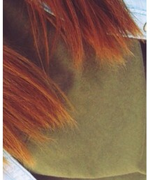 Right-on | Tシャツ/カットソー