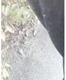 BURTON | バックパック/リュック