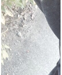 古着 | トップス