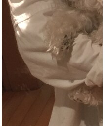 TOPSHOP | シャツ/ブラウス