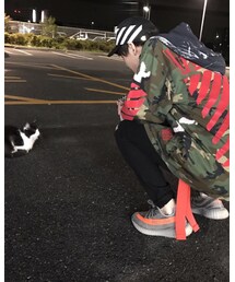 猫 | その他