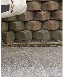 GU | その他パンツ