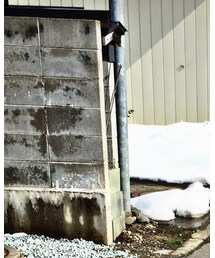 WEGO | スウェット