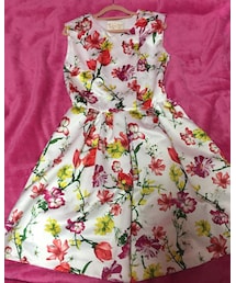 Chesty | ワンピース