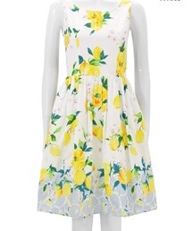 Chesty | ワンピース