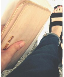 miu miu | 財布