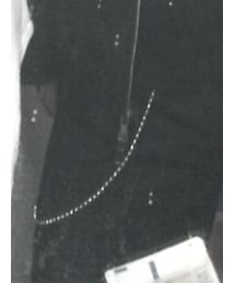 WEGO | ネックレス