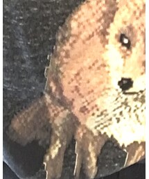 Maison Kitsune | Tシャツ/カットソー