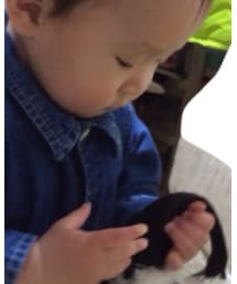 babyGAP | シャツ/ブラウス