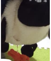 テイミーリュック | バッグ