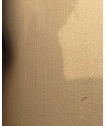 no brand | シャツ/ブラウス