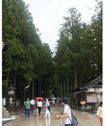 高野山 | その他