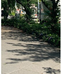 LEMAIRE | サンダル