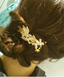 Palnart Poc | バレッタ/ヘアクリップ