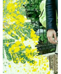 American Apparel | バックパック/リュック