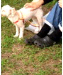 crocs | サンダル