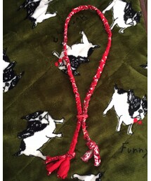 PORTER CLASSIC | アクセサリー