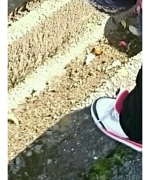 AIR JORDAN | スニーカー