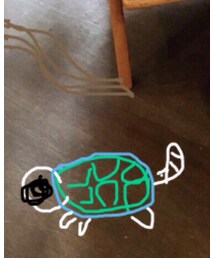 カメのつもり | その他