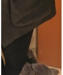 にゃー | その他