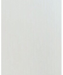 Honeys | ニット/セーター