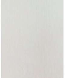 Honeys | スカート