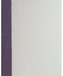 Honeys | シャツ/ブラウス