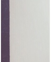 Honeys | Tシャツ/カットソー